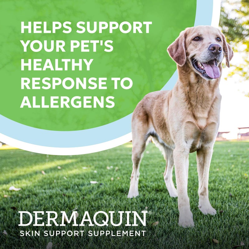 Nutramax Laboratories Nutramax Dermaquin Skin Support Supplement for Large Dogs, Supports Healthy Response to Allergens, with Hardy Kiwi, Omega-3s, and More, Tasty Soft Chews, 60 Count - Image 2