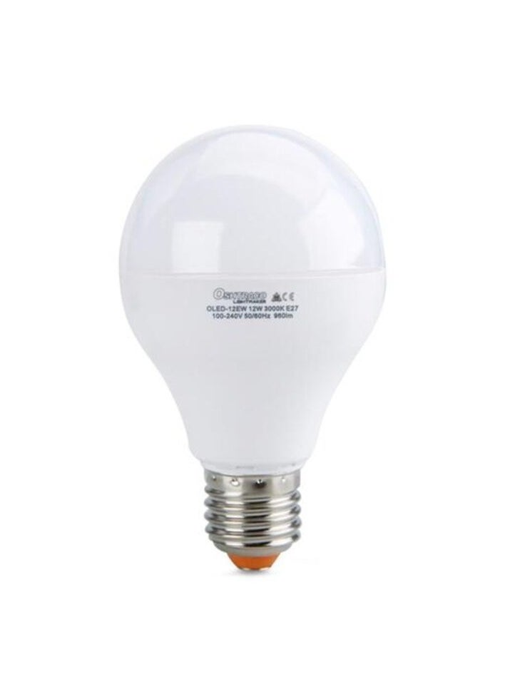 Oshtraco E27 12W LED Lamp