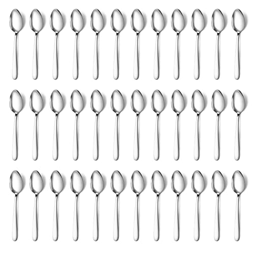 Pleafind 36 Pieces Teaspoons Set (6.2 inch), Spoon Silverware, Stainless Steel Tea Spoons, Mirror Polished Small Teaspoon, Dessert Spoons for Home, Kitchen, Restaurant, Dishwasher Safe - Image 1