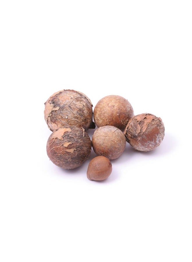 Aethland Tamanu Oil - Pure, Uncut, Unrefined, Non-GMO, Cold Pressed, Nut Carrier Oil for Skin, Hair, Nails, Body, Face, DIY, Cosmetic - 16 oz - Hydrating, Moisturizing - Image 5