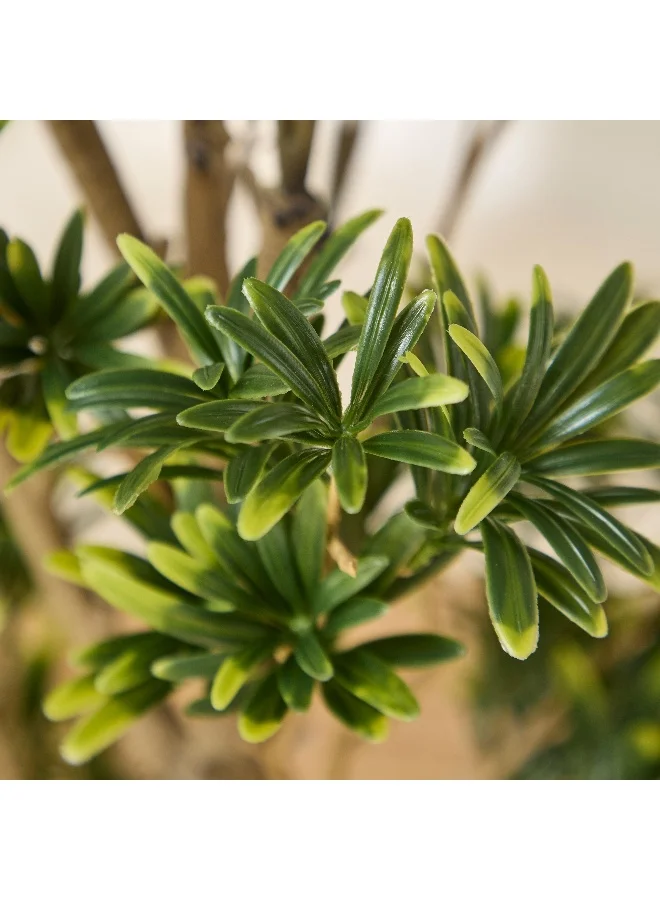 Home Box Teodora Artificial Podocarpus Tree - 100 cm
