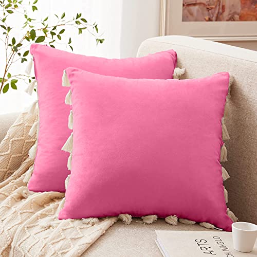 CottonFry Boho Decorative Throw Pillow/Cushion Covers with Tassels for Couch Bed Sofa Soft Velvet Cushion Covers - Image 3
