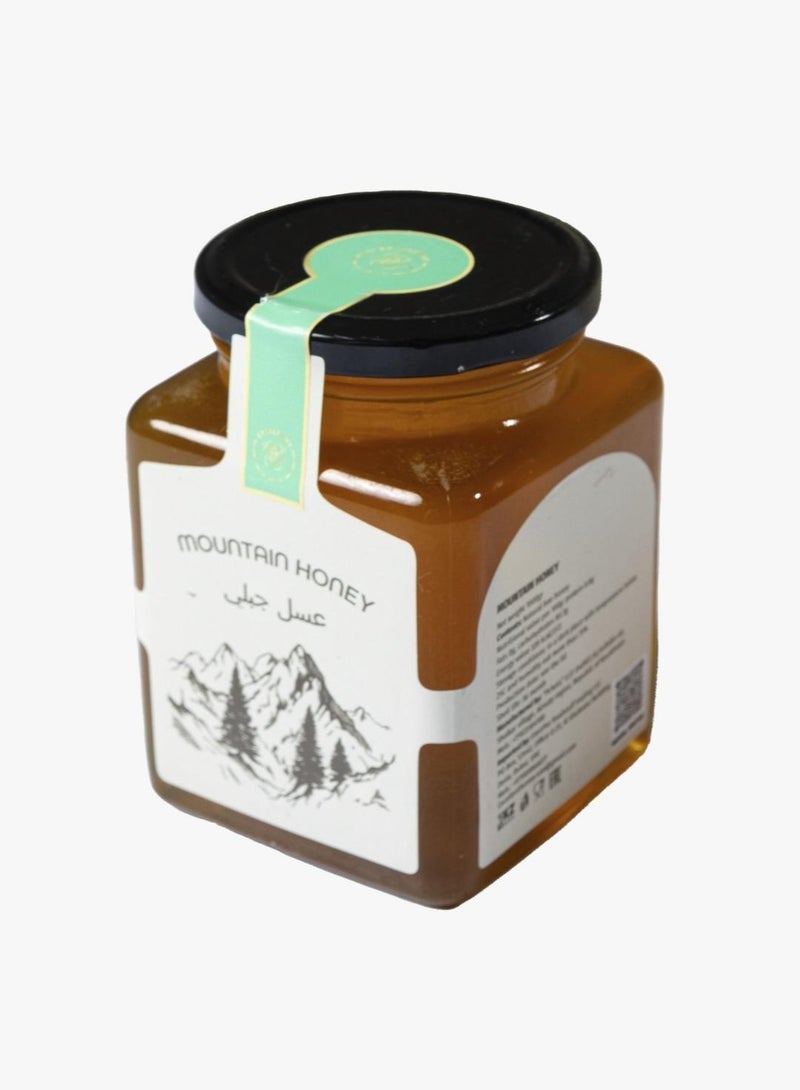 Mountain Honey from Kazakhstan, 500g 