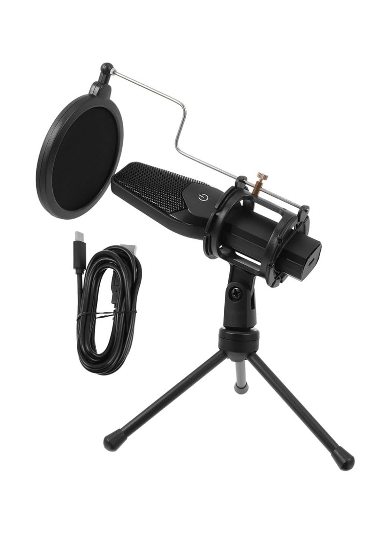 GGOOT 2 Sets condenser microphone desk mic Acoustic Instrument Recording Bundle USB mic USB Gaming Microphone Desktop Computer Mic phone microphone capacitance musical instrument Metal Black - Image 1