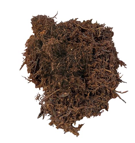 Josh's Frogs Tree Fern Fiber Substrate (10 quarts) - Image 2