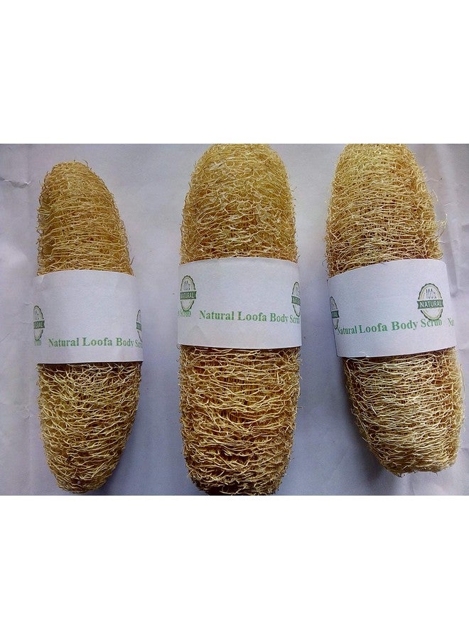 Vaibhav FOREST Natural BOTANICAL Body Scrub Loofa Rich in Antioxidants - Pack of 3 - Image 1