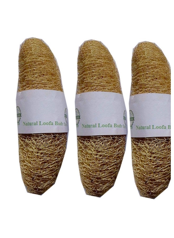 Vaibhav FOREST Natural BOTANICAL Body Scrub Loofa Rich in Antioxidants - Pack of 3 - Image 2