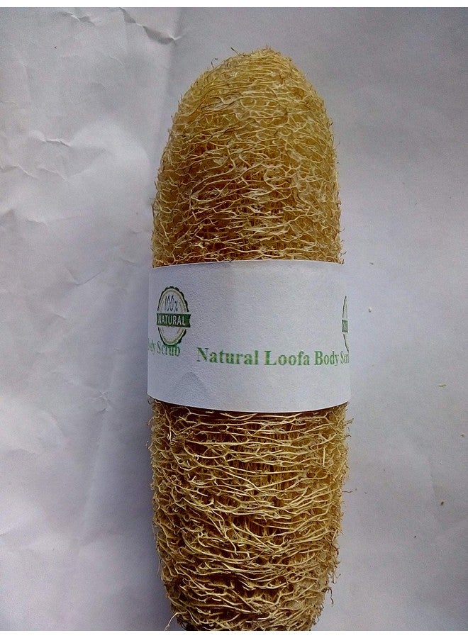 Vaibhav FOREST Natural BOTANICAL Body Scrub Loofa Rich in Antioxidants - Pack of 3 - Image 3