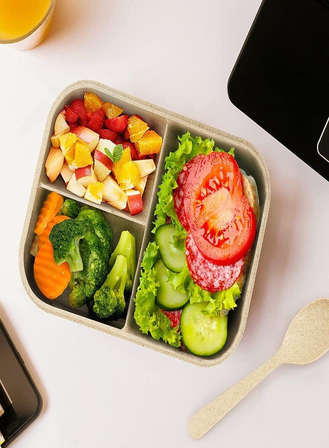 Mayatra's Wheat Straw Fiber Lunch Box, 3 Compartment Tiffin Box with Spoon for Men Women Kids (Multipurpose) - Image 5