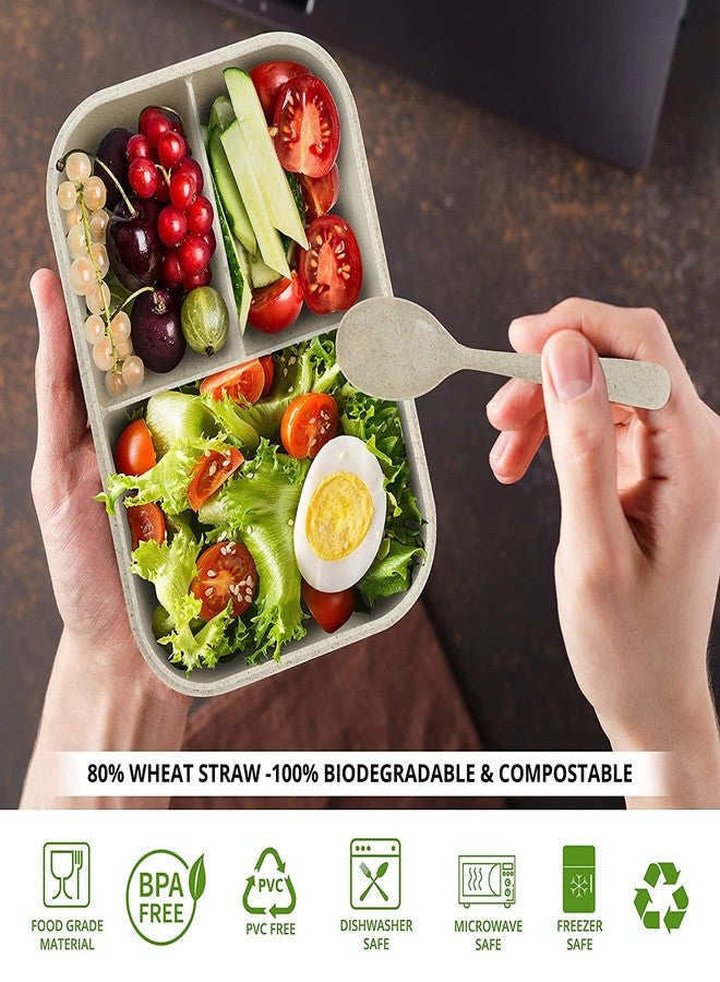 Mayatra's Wheat Straw Fiber Lunch Box, 3 Compartment Tiffin Box with Spoon for Men Women Kids (Multipurpose) - Image 2