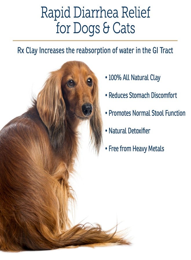 ركس فيتامينز مسحوق الطين الصالح للأكل من آر إكس فيتامينز آر إكس - مضاد للإسهال للكلاب والقطط، ويخفف الغازات لدى الكلاب - يدعم عملية الهضم لدى القطط ويخفف الإمساك لدى الكلاب - 3.52 أونصة - Image 3