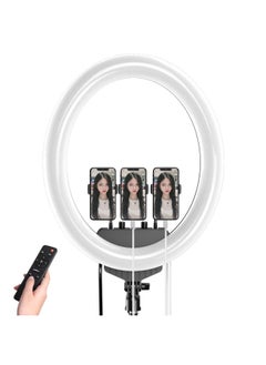 General TY4048 Live Fill Light Oval Beauty Light Large Size Photography Lighting Light Shooting Light LED Ring Light-Color:1.6 M Bracket  - Image 2