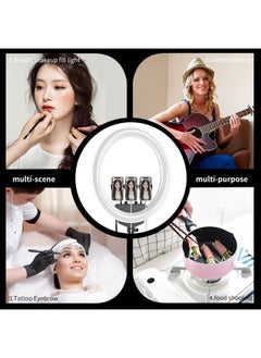 General TY4048 Live Fill Light Oval Beauty Light Large Size Photography Lighting Light Shooting Light LED Ring Light-Color:1.6 M Bracket  - Image 4