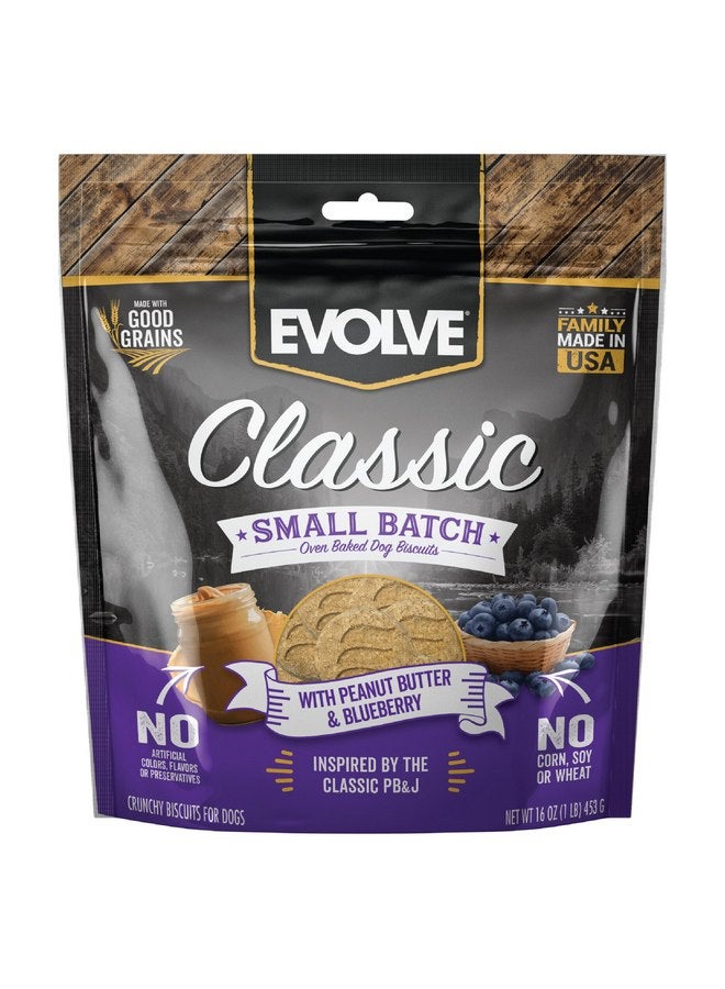 Evolve Classic Small Batch Oven Baked with Peanut Butter and Blueberry Biscuits Dog Treats, 16oz - Image 1