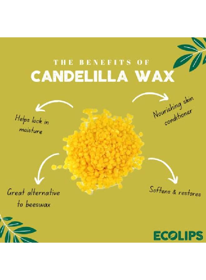 Eco Lips Bee Free Vegan Lip Balm Made Without Beeswax ; Candelilla Wax Organic Cocoa Butter & Coconut Oil Lip Care Soothe & Moisturize Dry Cracked And Chapped Lips 100% Plasticfree Plant Pod Packaging - Image 4