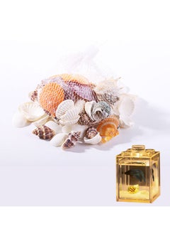 Deep-Sea Shells*1 Bag