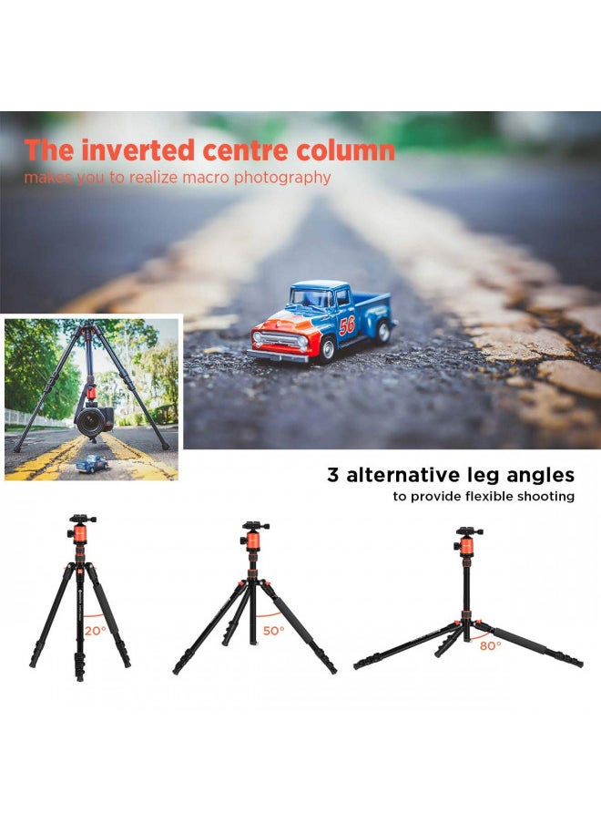 GEEKOTO GEEKOTO 77 Tripod, Camera Tripod for DSLR, Compact Aluminum Tripod with 360 Degree Ball Head and 8kgs Load for Travel and Work  - Image 4