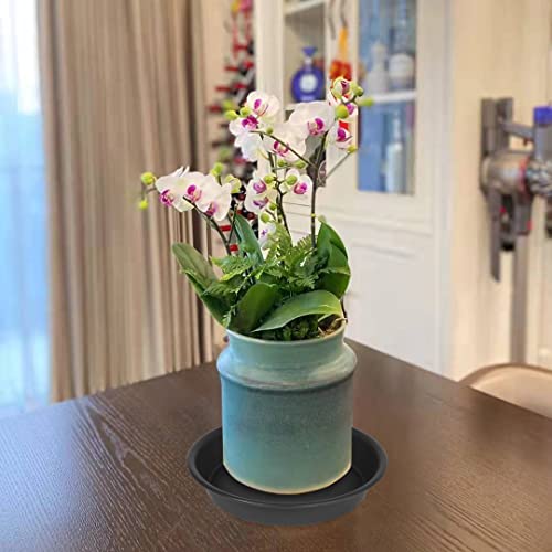 Bleuhome 6 Pack 6 inch Plant Saucer Tray, 4 6 8 10 12 15 17 19 inch Plant Saucers, Heavy Duty Plastic Plant Saucers for Indoors, Bird Bath Bowls, Flower Plant Water Trays for pots Planter (6", Black) - Image 5