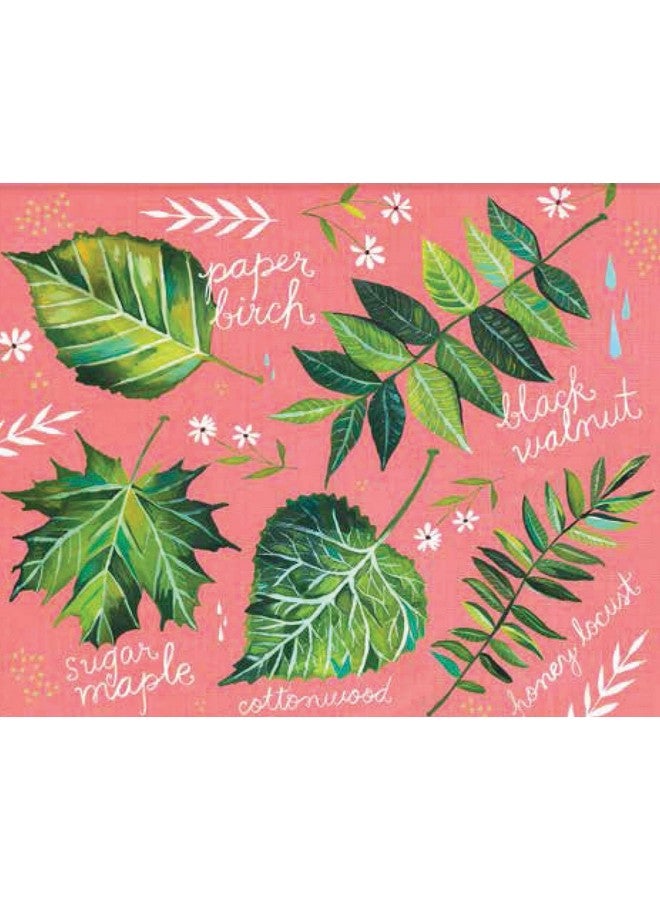 Chronicle Books With Love Adventure And Wildflowers Notes: 20 Different Notecards & Envelopes (Katie Daisy Art Stationery Nature Themed Notecards) - Image 2