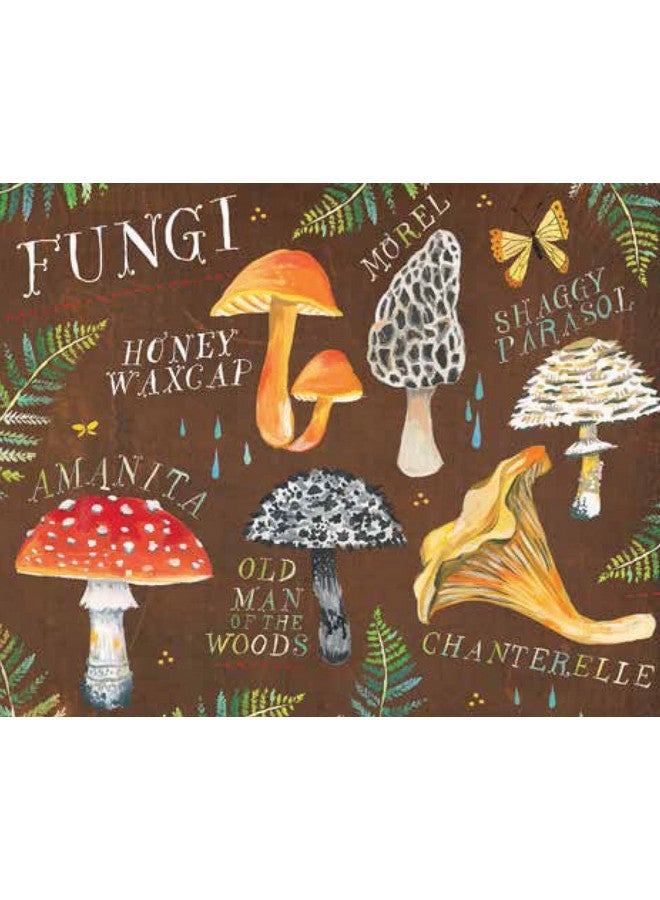 Chronicle Books With Love Adventure And Wildflowers Notes: 20 Different Notecards & Envelopes (Katie Daisy Art Stationery Nature Themed Notecards) - Image 3