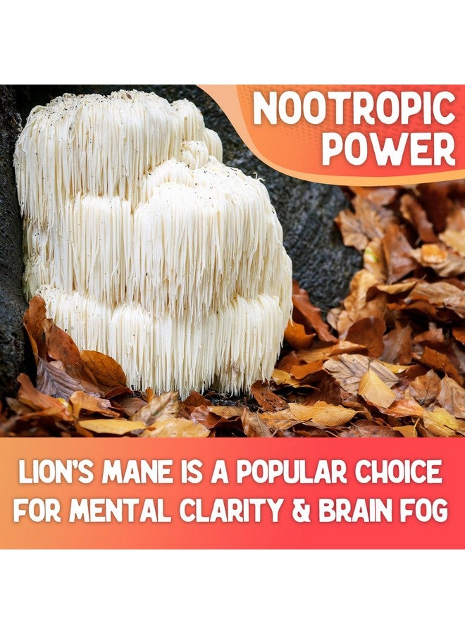 XPRS Nutra Fungi Fusion Organic Mushroom Powder Blend, Premium Blend of Lion's Mane, Reishi, Chaga, Cordyceps for Mental Clarity, Cognition, Energy and Immunity - 8 Ounce - Image 4