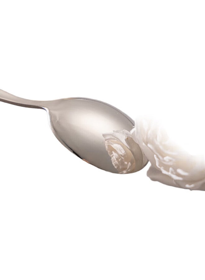 GRASEY 316L Stainless Steel Soup Ladle Spoon Mixing Spoon Large Thickened Round Bottom Rice Spoon 2-Pack Gy8877 - Image 1