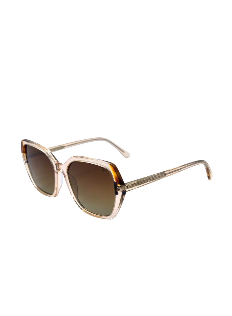 DLS Sunglasses for men and women - Oversized Acetate Frame with UV protacted lenses multipurpose use (S0014-C4) - Image 1
