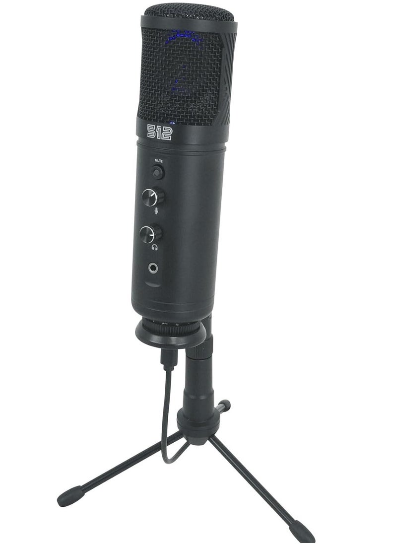 Audio Tempest Large-Diaphragm Studio Condenser USB Mic-UPM - pzsku/Z48A0969317045F2CC806Z/45/_/1717772218/b5dcd258-b872-43c4-ac42-27349c8cb8b7