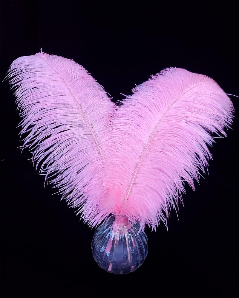 HAPPY FEATHER 16-18 inch Pink Ostrich Feathers Craft for Wedding Party Centerpieces Home Decoration DIY Craft Pack of 10 - Image 1