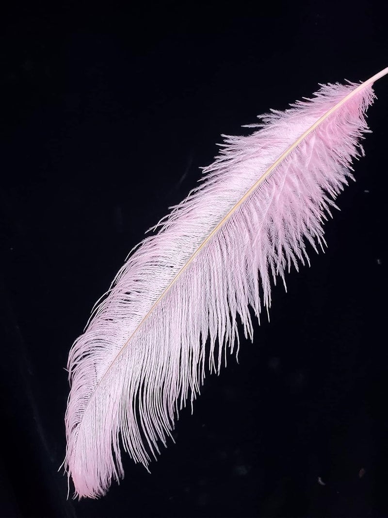 HAPPY FEATHER 16-18 inch Pink Ostrich Feathers Craft for Wedding Party Centerpieces Home Decoration DIY Craft Pack of 10 - Image 4