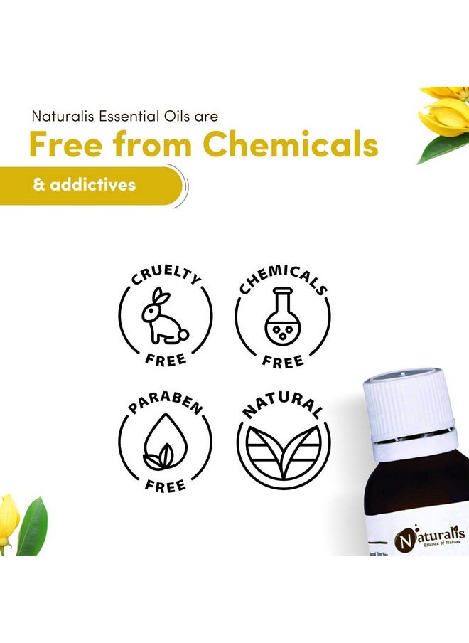 Naturalis Essential Oils (30 Ml, Ylang Ylang)  - Image 5