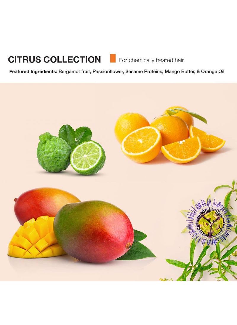 Mop MOP Citrus Replenishing Shampoo For Chemically Treated Hair  Replenishes Restores  Hydrates Damaged Hair Adds Shine  Paraben  Sulfate Free  - Image 3