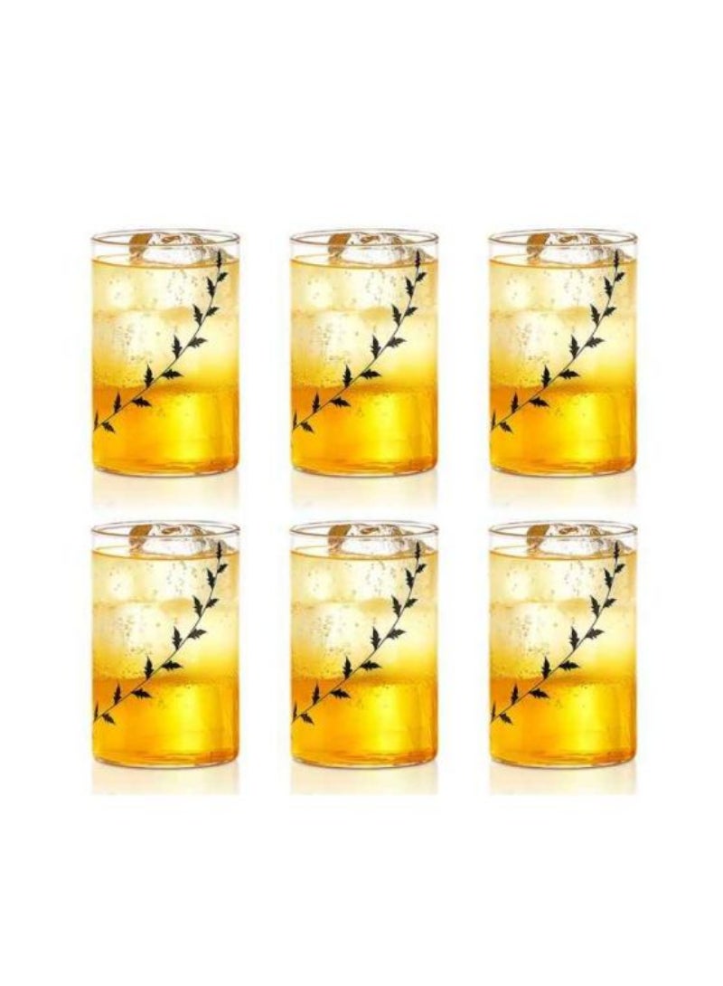Top Pick Vision Glass Set Not Absorb Stains (Set Of 6) 