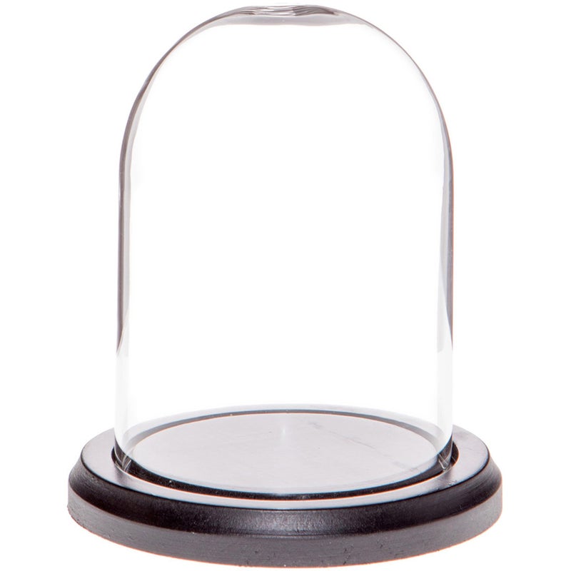 Plymor 3 x 4 Glass Display Dome Cloche Black MDF Wood Base
