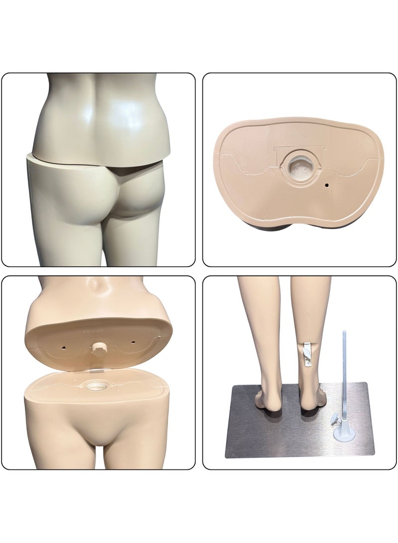 أورتوك عارضة أزياء بجذع جسم أنثوي كامل الجسم - حامل مانيكان عرض 177 سم مع نمط رأس متنوع، أجزاء قابلة للفصل 360 درجة قابلة للدوران، قاعدة مانيكان بلاستيكية ثابتة معدنية لمحلات الملابس - قطعة واحدة فقط - Image 4