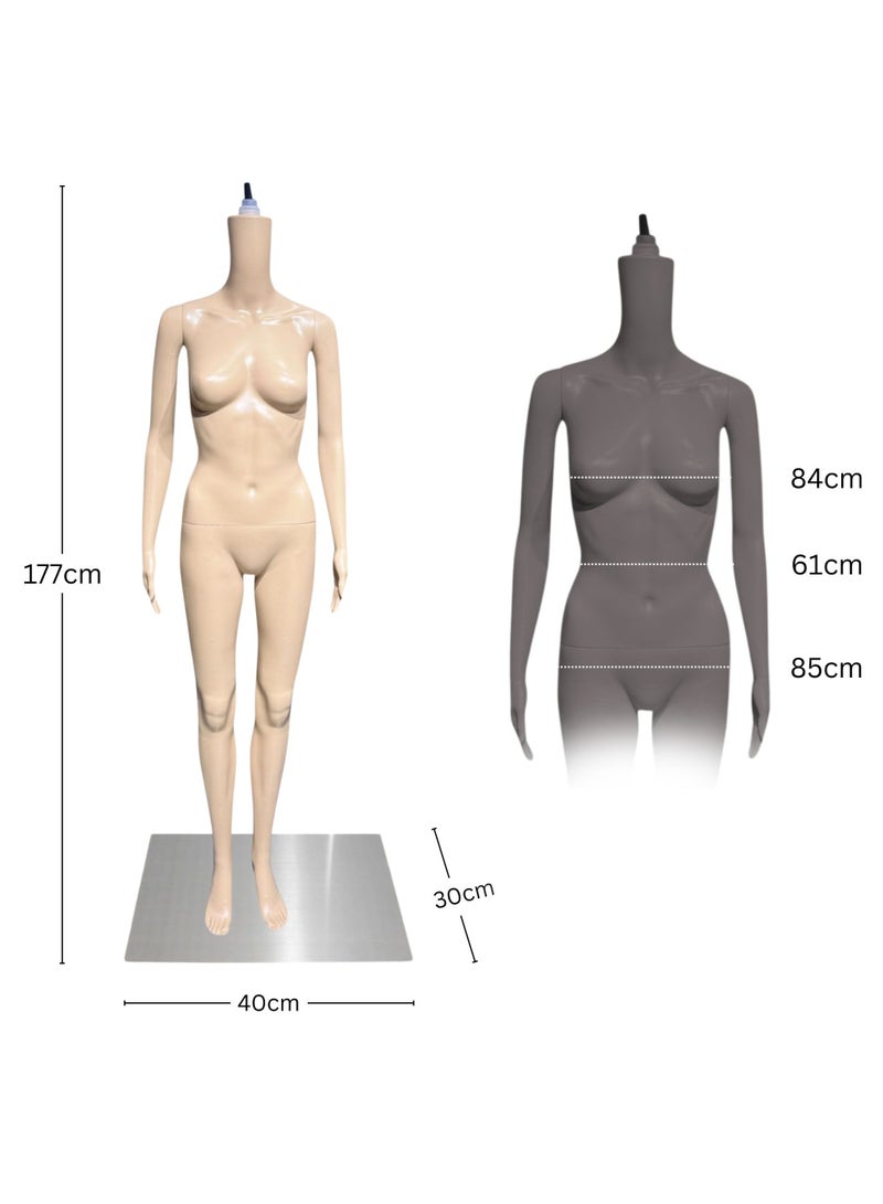 أورتوك عارضة أزياء بجذع جسم أنثوي كامل الجسم - حامل مانيكان عرض 177 سم مع نمط رأس متنوع، أجزاء قابلة للفصل 360 درجة قابلة للدوران، قاعدة مانيكان بلاستيكية ثابتة معدنية لمحلات الملابس - قطعة واحدة فقط - Image 2