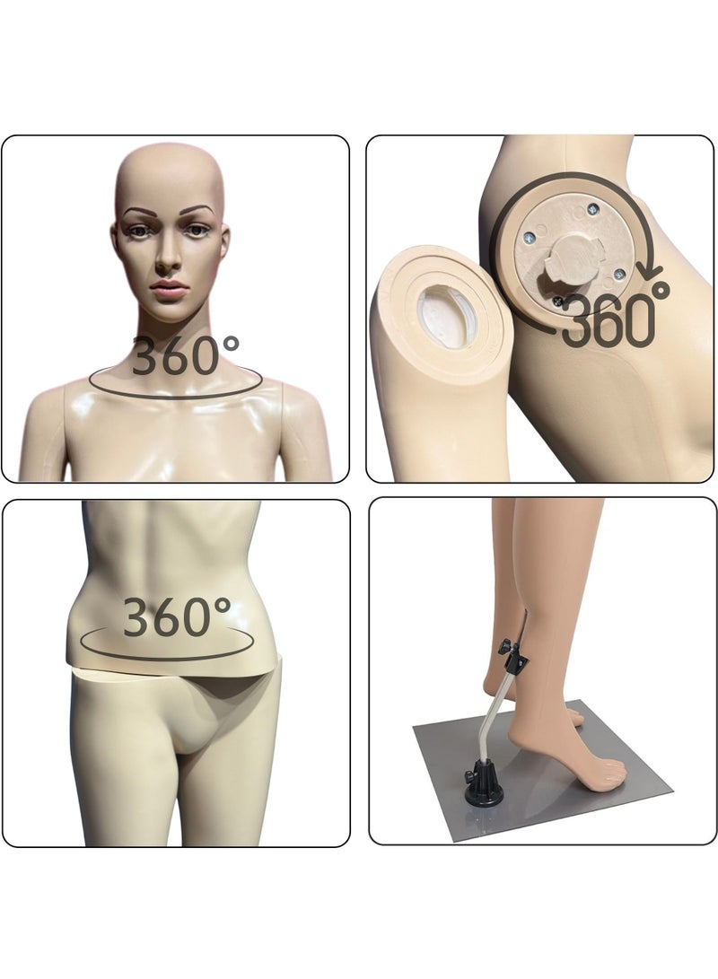 أورتوك عارضة أزياء بجذع جسم أنثوي كامل الجسم - حامل مانيكان عرض 177 سم مع نمط رأس متنوع، أجزاء قابلة للفصل 360 درجة قابلة للدوران، قاعدة مانيكان بلاستيكية ثابتة معدنية لمحلات الملابس - قطعة واحدة فقط - Image 5
