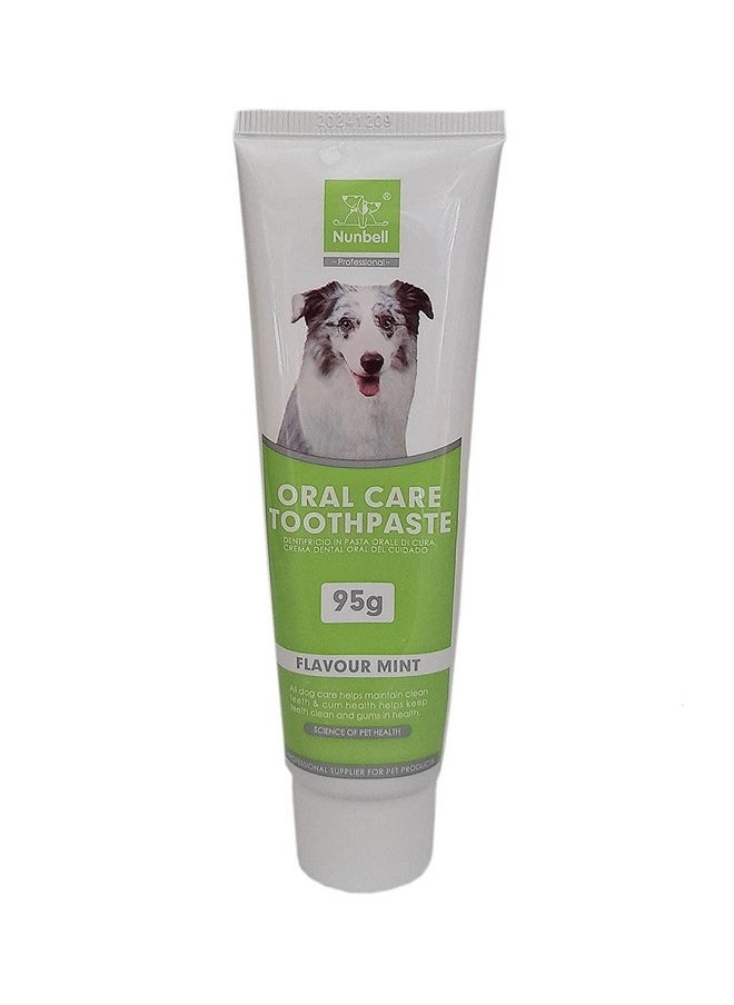 PET Mint Flavor Dog Toothpaste 95G - With Bio Enzyme And Natural Ingredients Toothpaste For Dogs And Puppies.  - Image 1