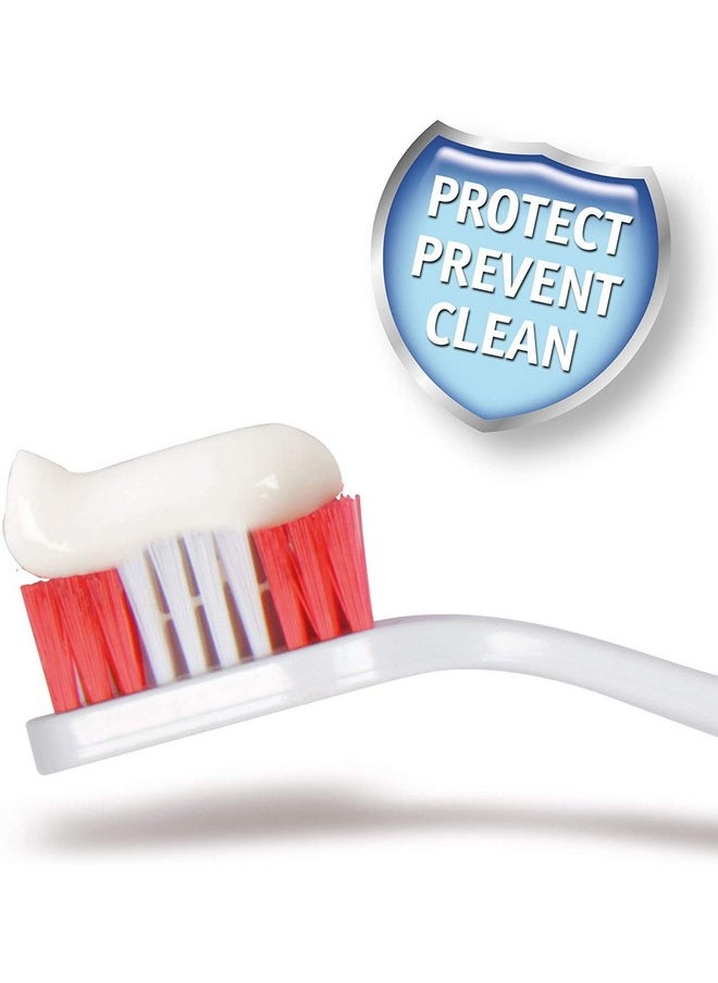 PET Mint Flavor Dog Toothpaste 95G - With Bio Enzyme And Natural Ingredients Toothpaste For Dogs And Puppies.  - Image 2
