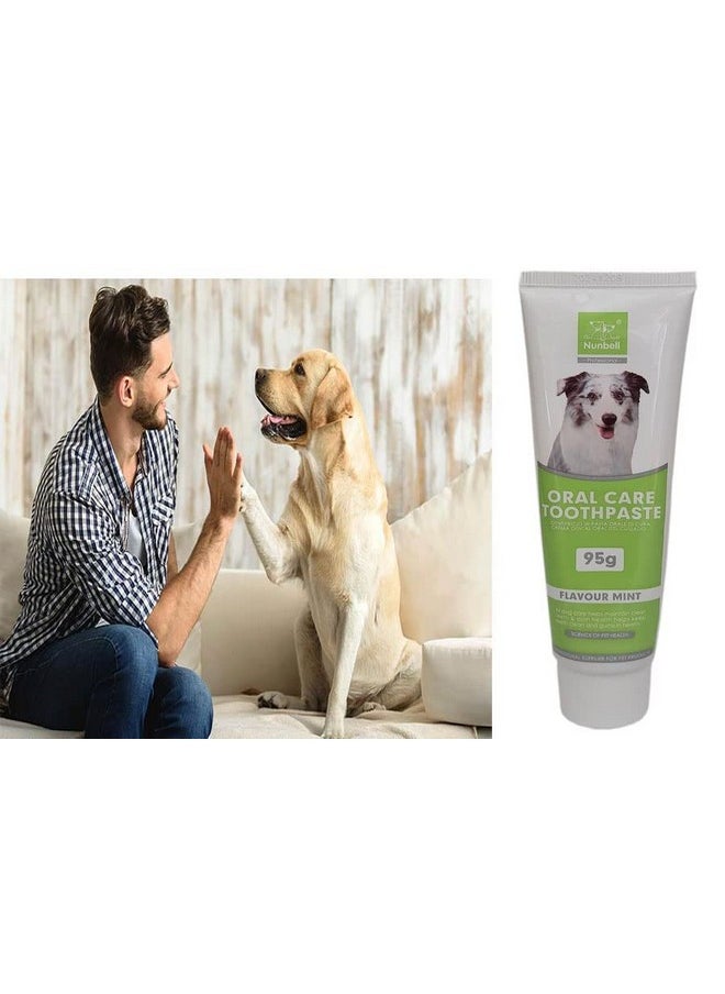 PET Mint Flavor Dog Toothpaste 95G - With Bio Enzyme And Natural Ingredients Toothpaste For Dogs And Puppies.  - Image 3