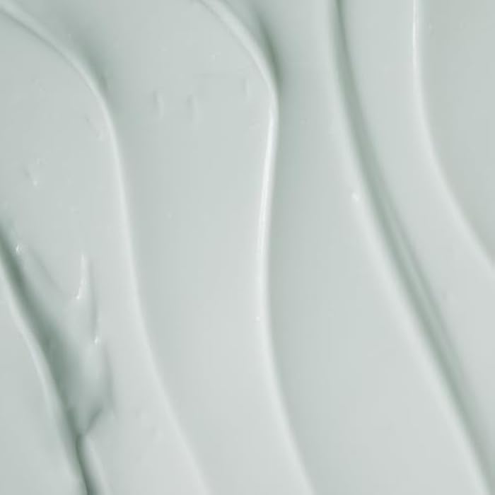 OSEA Seabiotic Water Cream 1.6 oz - Water-Based Face Cream with Squalene, Prebiotic & Probiotic Moisturizer - Clean Beauty - Vegan Face Moisturizer - Weightless Hydration - Image 2