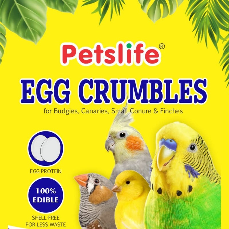 Petslife بيتللايف فتات البيض للكناري - البادجي - 1 كجم - Image 2