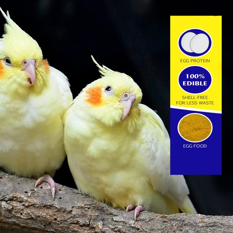 Petslife بيتللايف فتات البيض للكناري - البادجي - 1 كجم - Image 3