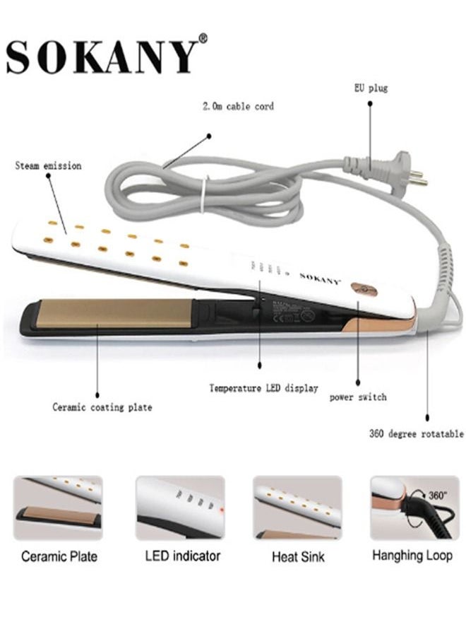 Professional Hair Curler - pzsku/Z48A9A44D41FBC0ADAD20Z/45/_/1660904476/dfbcde8c-c539-4540-a64f-921dc07fe2e1