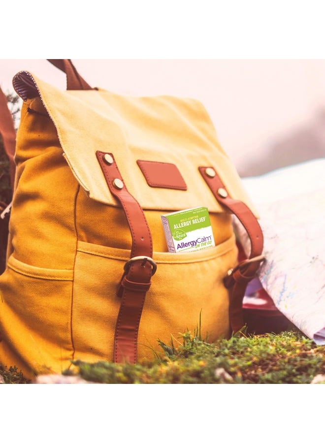 Boiron أليجيكال مهدئ للحساسية أثناء التنقل (6 أنابيب) لتخفيف أعراض الحساسية وحمى القش من العطس، وسيلان الأنف، وحكة العينين أو الحلق - 6 أنابيب خضراء (480 حبة) - Image 4