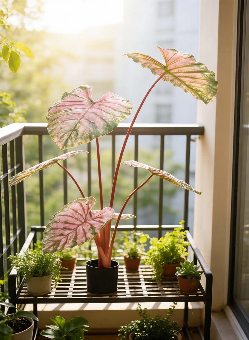 Sharpdo 110cm Artificial Plant/Flower, Floral Decoration, Garden Decoration, Colorful Taro Plant, Many Large Leaves, Suitable For Office/Shopping Mall/Indoor/Living Room. - Image 1