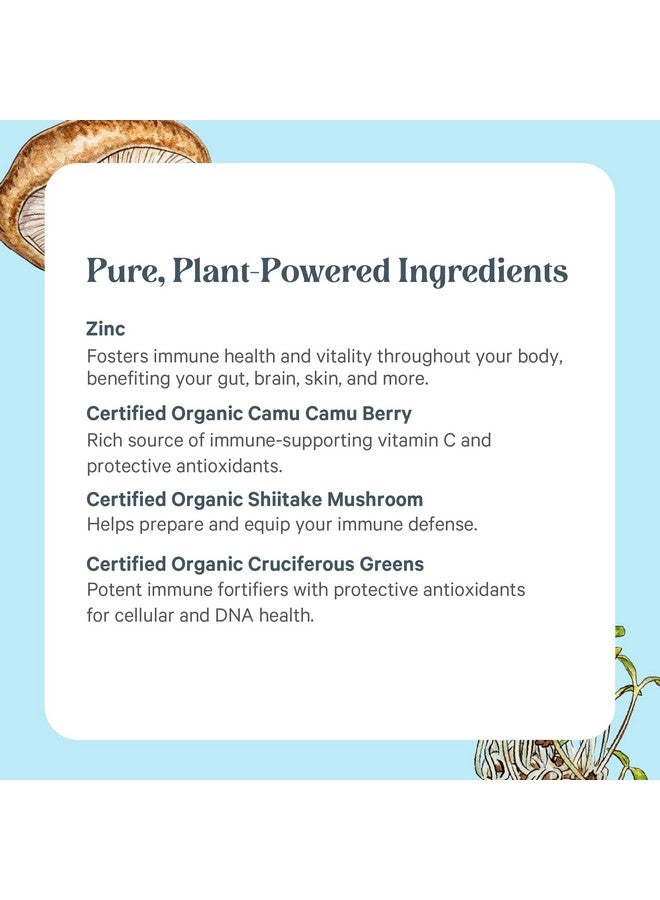 بيور سينرجي مُركّب الزنك بيور سينيرجي | مُكمّل غذائي مُعزّز للمناعة | مُركّب زنك طبيعي نباتي مع فيتامين سي وأطعمة عضوية كاملة | لصحة المناعة والدماغ والبشرة (60 كبسولة) - Image 5