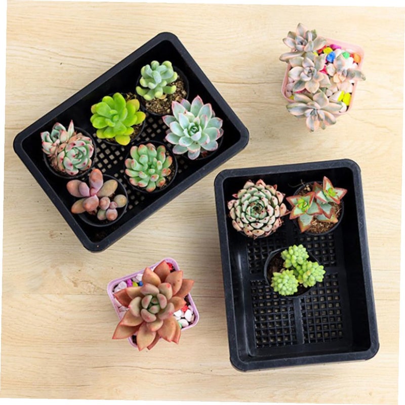 5Pcs Small Plastic Nursery Pots And Planting Tray Set For Seed Starting Succulent Germination - Image 4