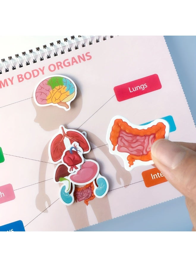 BEBEGO 15 Themes Kids Busy Book Set, Educational Preschool Learning Quiet Book, Human Body Structure Cognitive Development, Includes Storage Bag, 8 Brush Markers, 1 Book, 15 Theme Packs & Stickers, Paper Material, No Battery Required - Image 2
