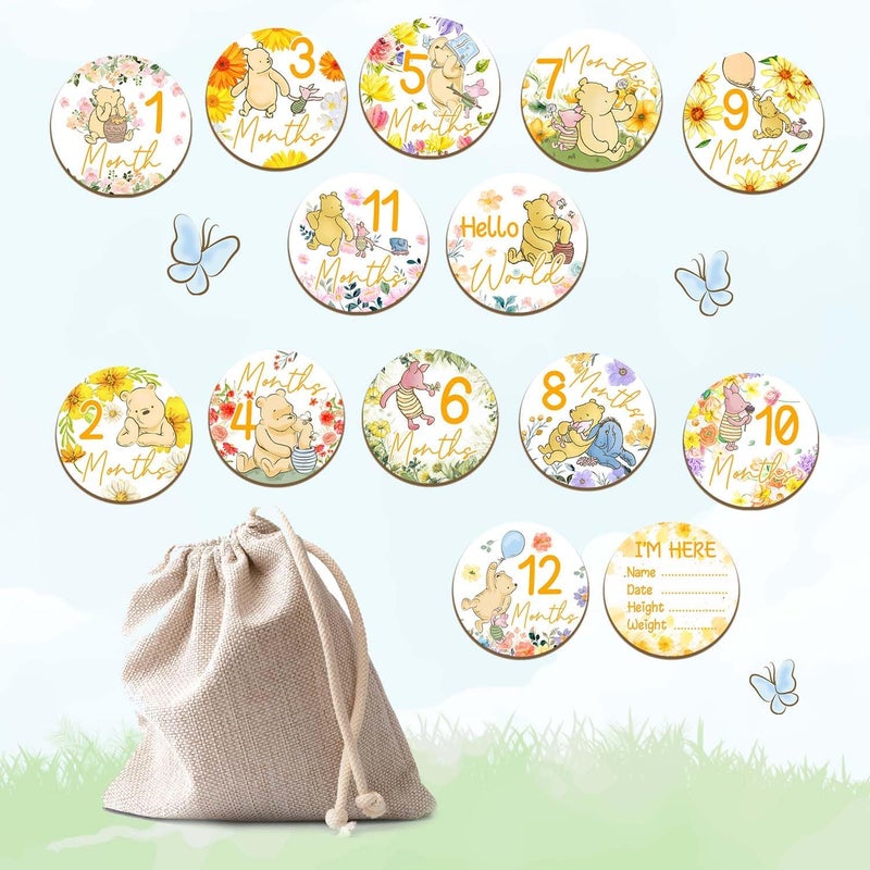 Al Raied ARS® 7 Pcs Winnie Baby Monthly Milestone Circles - Double Sided Wooden Signs with Storage Bags - Image 4